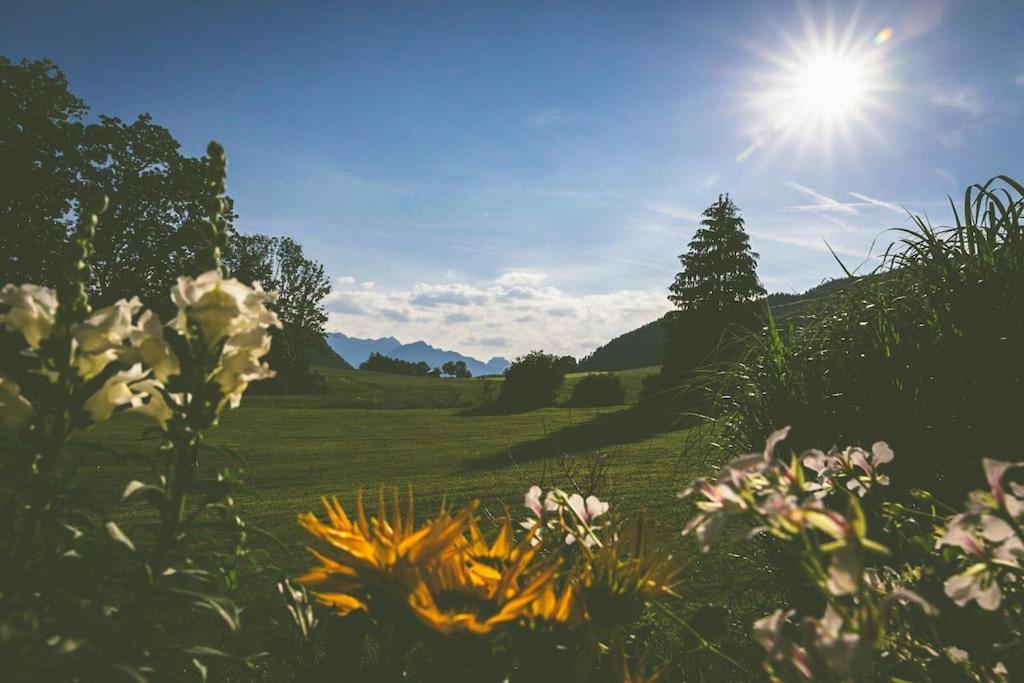 Fritzis Alpenidyll „Sommertraum & Winterromantik” Samerberg Esterno foto