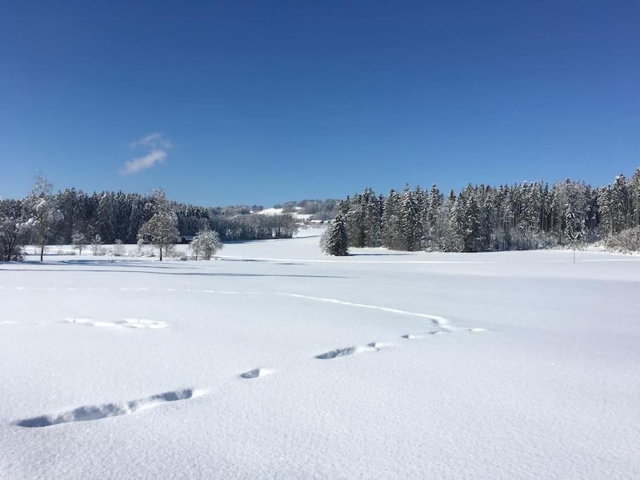 Fritzis Alpenidyll „Sommertraum & Winterromantik” Samerberg Esterno foto