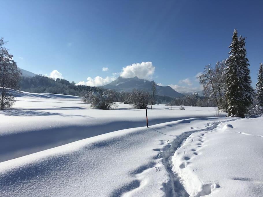 Fritzis Alpenidyll „Sommertraum & Winterromantik” Samerberg Esterno foto